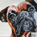 Loena, deze prachtige hond is niet meer onder ons. Ik ben gevraagd om haar te schilderen. Bijzondere, maar ook een mooie ervaring dat mensen emotioneel van het schilderij worden.