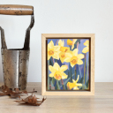 'Narcissen'<br /><br />De narcis is voor mij een recente liefde. Het is een bloembol die 'verwilderd' wanneer je hem plant. Anders dan bijvoorbeeld tulpen, die je eigenlijk ieder jaar opniew moet aanschaffen en planten om mooie bloemen te krijgen, vermeerderd deze zich juist en wordt het kleurspectakel ieder jaar meer!<br /><br />En er zijn zo veel verschillende kleuren! Ik was meteen helemaal fan en heb mijn tuin ermee volgezet. Kan niet wachten tot ze weer bloeien!<br /><br />- Origineel schilderij<br /><br />- Inclusief lijst<br /><br />- Acrylverf op houten paneel<br /><br />- 15,2 x 13,9 cm (inclusief lijst)